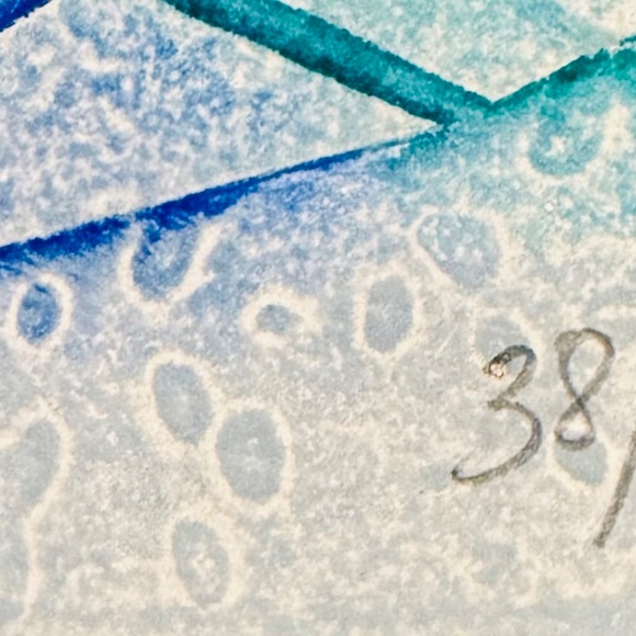 Gerard Fitremann. Two Untitled Works Etchings, aquatint in colors on woven paper - Picture 13 of 16